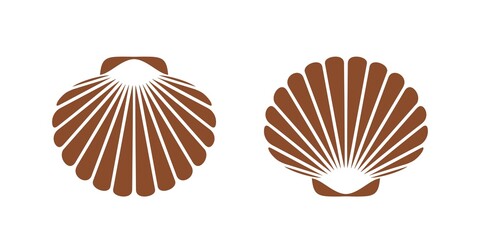 Scallop logo. Isolated scallop  on white background