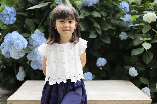 女子小学生　モデル　低学年 女子小学生 (7歳)とあじさい(青) Stock Photo | Adobe Stock