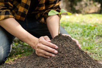 The young man's hands are planting young seedlings on fertile ground, taking care of growing plants. World environment day concept, protecting nature