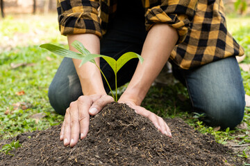 The young man's hands are planting young seedlings on fertile ground, taking care of growing plants. World environment day concept, protecting nature