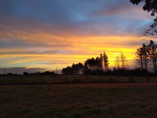 sunset over the field