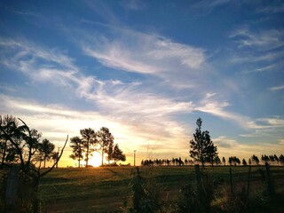sunset over the field