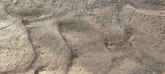 tracks in sand