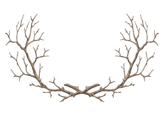 Fototapeta premium Frame with dry bare branches. Decorative natural twigs.