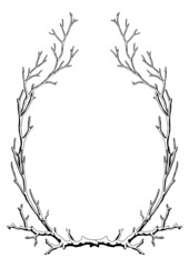 Frame with dry bare branches. Decorative natural twigs.