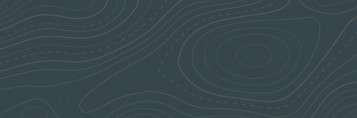 Topographic map background concept with space for your copy. Vector abstract illustration. Geography concept.