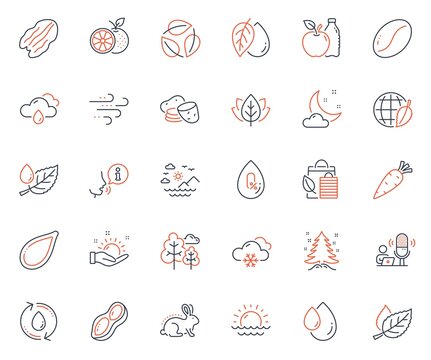 Nature icons set. Included icon as Pecan nut, Rainy weather and Sunset web elements. Pumpkin seed, Refill water, Christmas tree icons. Bio shopping, Night weather, Oil drop web signs. Vector