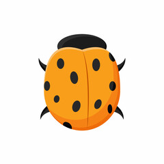 Orange beetle with black dots cartoon vector graphics