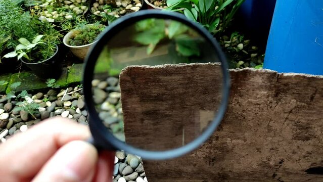 video how to use a magnifying glass to zoom in on objects, examples of objects magnified with a magnifying glass