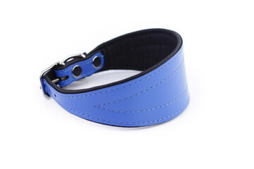 Blue and black leather greyhound dog collar on a white background