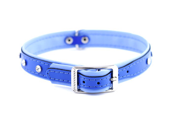 Leather dog collar on a white background
