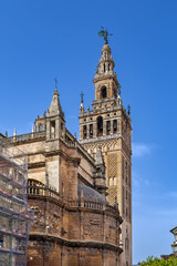 Fototapeta na wymiar Seville Cathedral, Spain