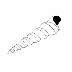 Vector image of a shell in doodle style. Isolated illustration of a shell in black and white