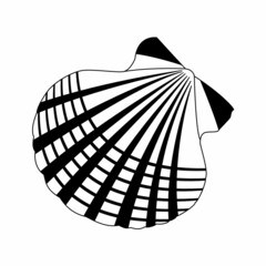 Vector image of a shell in doodle style. Isolated illustration of a shell in black and white