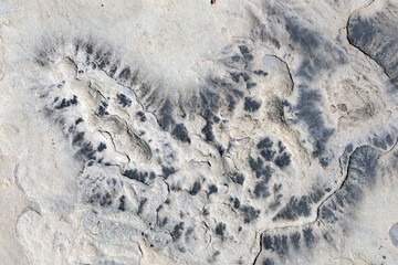 abstract form and texture on grunge rock