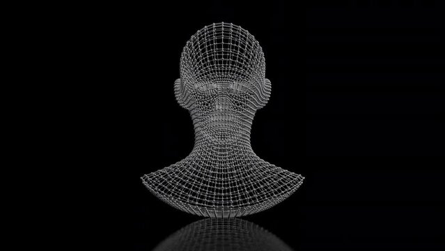 3D animation of female head wireframe