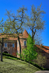 Blühende Bäume am Aufgang zu Burg Burg Eisenhardt in Bad Belzig