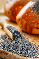 bun with poppy seeds on a white wooden rustic background