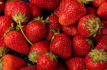 Fresh ripe strawberries in a plate background.Vegetarian organic berry.Healthy food.Vitamins.Copy space.Space for text