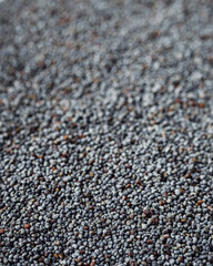 poppy seeds on a white acrylic background