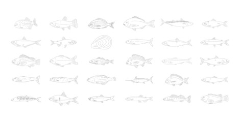 vector sketch illustration set of a fishes
