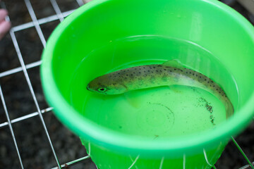 川　キャンプ　CAMP　山梨県