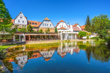 Fototapeta premium Birkensee, Bad Wimpfen, Baden Wuerttemberg, Deutschland 
