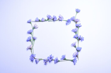blue flowers frame flat lay copy space 