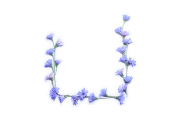 Flower frame on white background copy space mockup flat lay