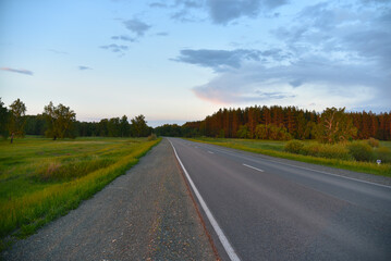 Asphalt road in the forest in the evening