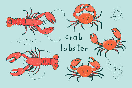 Crab and lobster sea animals vector illustrations set