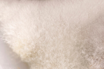 White mold growth on the surface of food
