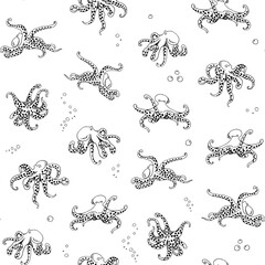 Octopus sea life line vector seamless pattern © GooseFrol