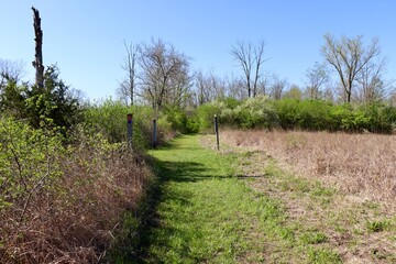 The empty grass trail in the country field on a sunny day.