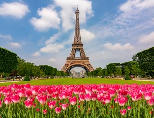 Poster Eiffel Tower and spring tulips on Field of Mars, Paris, France © Mistervlad