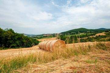 July 2022. Italy, Emilia Romagna, Beautiful landscape. Agricultural field. Round bundles of dry grass in the field against the blue sky. Bales of hay to feed cattle in winter