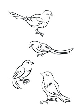 Flock of birds sketch. Set of line art 
tattoo pictures