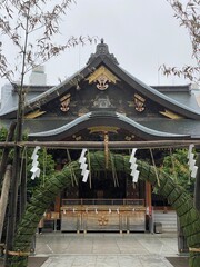 The beautiful display of “Chigaya” plants ring, in front of the main pagoda of Japanese shrine that people go through as part of purification ceremony month in June.  “Yushima Tenjin” Tokyo Japan 2022