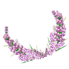 Handdrawn lavender flowers. Watercolor purple lavender wreath boarder. Scrapbook design, typography poster, invitation, label, banner and card.
