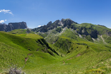 Fototapeta na wymiar Flowers and mountains at pass Giau in the Dolomites
