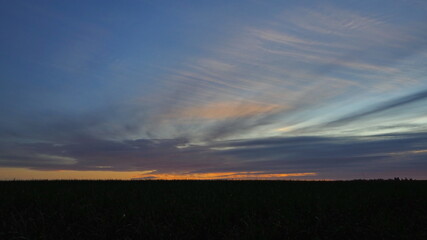 Rural landscape. Silhouettes of trees against the backdrop of a colorful sunset.