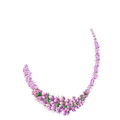 Handdrawn lavender flowers. Watercolor purple lavender wreath boarder. Scrapbook design, typography poster, invitation, label, banner and card.