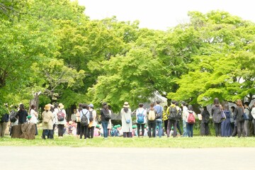 standing group in botanical park
