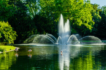 fountain in the park with flamingos