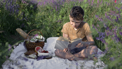 The boy reads the book on the summer meadow