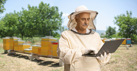 Mature male bee keeper in a uniform using a laptop computer