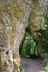 Die Natursteinbr&uuml;cke oder Arch bei Happurg ist ein Wunder der Natur und durch Erosion entstanden.