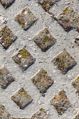 Background from path from tiles in shape of rhombus overgrown with vegetation