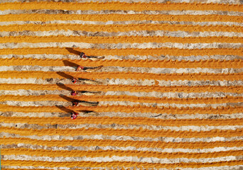 Workers working in small rice mill. Rice, paddy grain drying in sun. Flipping and weeping rice grains. Aerial view of rice mill. 