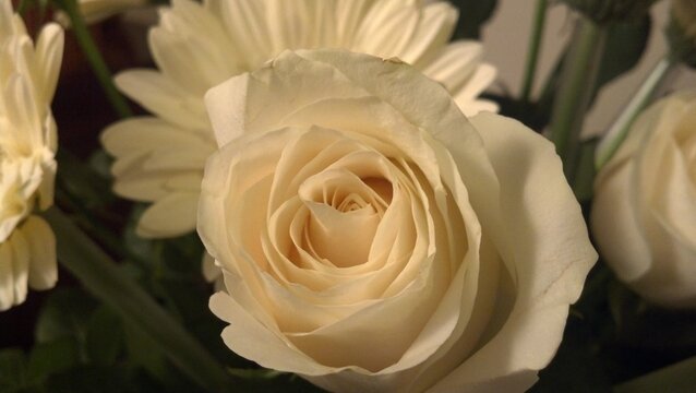 rosa, flor, buqu&ecirc;, rosa, boda, flor, beldade, natureza, amor, desabrochado, presente, cor-de-rosa, flor, floral, planta, flora, romance, aglomerado estelar, branco, bela, amarelo, cor, p&eacute;tala, valenti